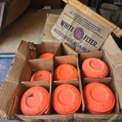 6009 white flyer targets