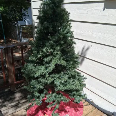 6' Pre-Lit Artificial Christmas Tree with Stand & Tree Skirt