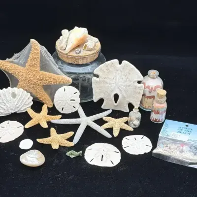 Nautical Souvenir Collection & Beachfront Display Accents
