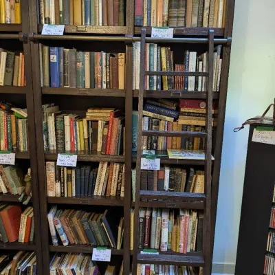 Library Shelf System + Ladder World Market