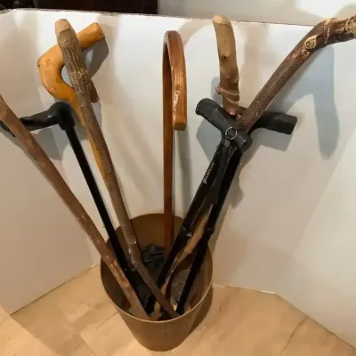 Collection Of Walking Canes