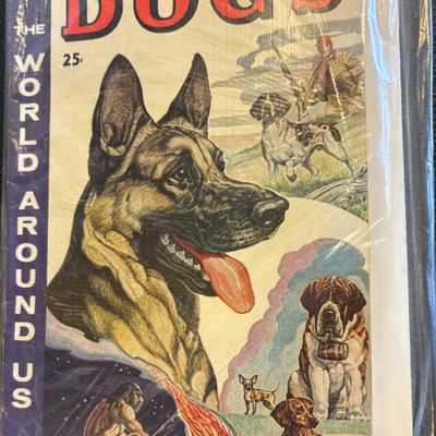 Vintage copy of "The Illustrated Story of Dogs" comic book from "The World Around Us" series by Classics Illustrated,...