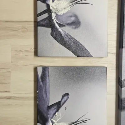 Sale Photo Thumbnail #97: Large Pic- 30 inches H x 47 inches W x 2 inch D. Small pics are 12 inches H x 19 inches W x 2 inch D. One of the small pics has white worn mark at bottom.