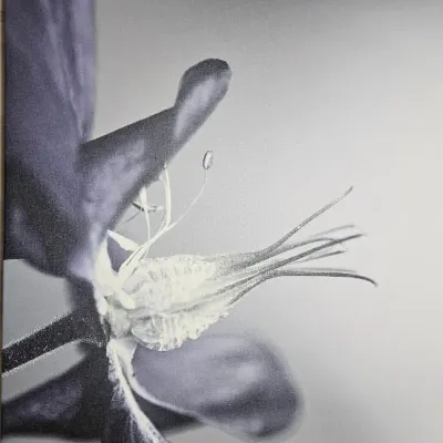 Sale Photo Thumbnail #96: Large Pic- 30 inches H x 47 inches W x 2 inch D. Small pics are 12 inches H x 19 inches W x 2 inch D. One of the small pics has white worn mark at bottom.