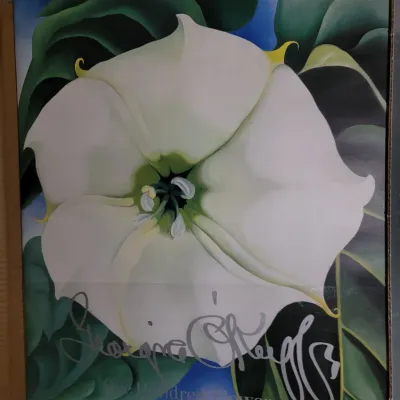 Sale Photo Thumbnail #4: Georgia O'Keefe "One Hundred Flowers"