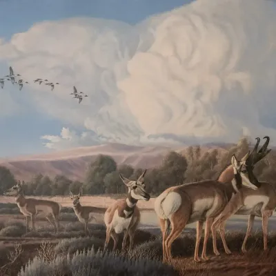FRAMED LIMITED EDITION SIGNED PRINT- "SPIRIT OF THE BIG SKY" BY WAYNE DOWDY 