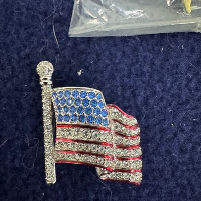 Sale Photo Thumbnail #153: 12 pc 911/America Pins