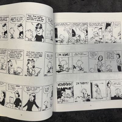 Sale Photo Thumbnail #37: Calvin and Hobbs and Far Side Comic Book 2 pc set. Excellent condition