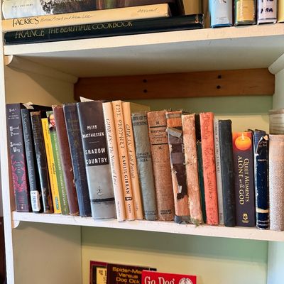 Assorted collection of vintage and modern books, including fiction, non-fiction, and children's literature, arranged on wooden shelves.