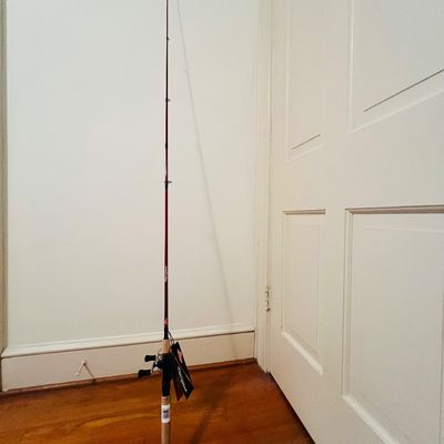 Sale Photo Thumbnail #99: Fishing pole in