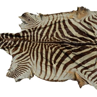 Sale Photo Thumbnail #295: Zebra Hide Rug.
