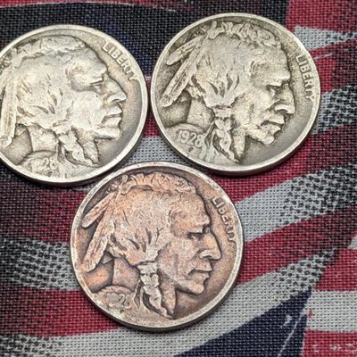 Sale Photo Thumbnail #377: 1928 P, D, & S Indian Head Buffalo Nickels