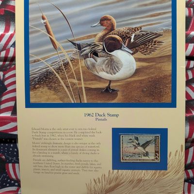 Sale Photo Thumbnail #397: 1962 Dept. Of The Interior Duck Stamp, RW-29, Signed