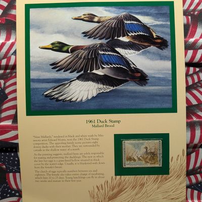 Sale Photo Thumbnail #396: 1961 Dept. Of The Interior Duck Stamp, RW-28, Signed