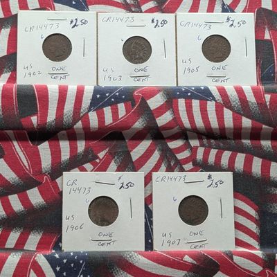 Sale Photo Thumbnail #38: 1902, 1903, 1905, 1906, 1907 Indian Head Pennies - Nice Group!