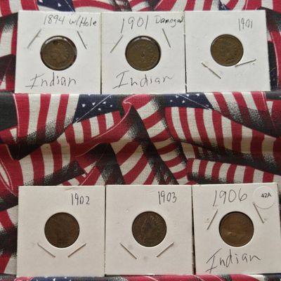 Sale Photo Thumbnail #259: 1894 w/ Hole, 1901 Damaged, 1901, 1902, 1903 and 1906 Indian Head Cents
