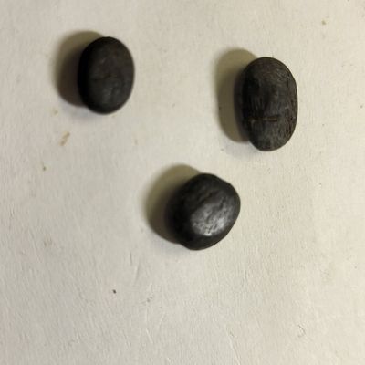 Sale Photo Thumbnail #4: genuine black star of india gemstone lot of 3