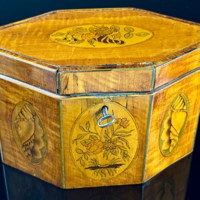 English George III Style Octagonal Satinwood Tea Caddy with Shell and Floral Marquetry