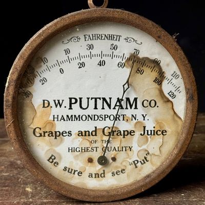 D.W. Putnam Co. Grapes and Grape Juice Advertising Thermometer Hammondsport