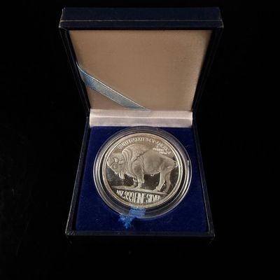 Sale Photo Thumbnail #181: A 2005 1 Troy Ounce .999 Fine Silver Buffalo Tribute Round in Display Case