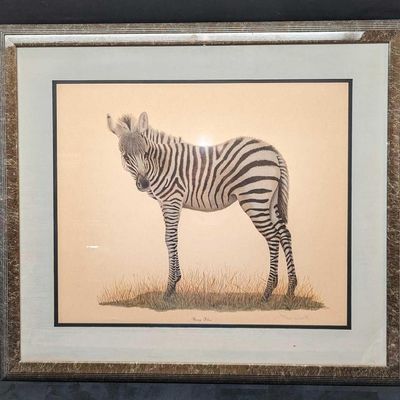 Sale Photo Thumbnail #484: Framed Young Zebra Print By T.H. Farnsworth