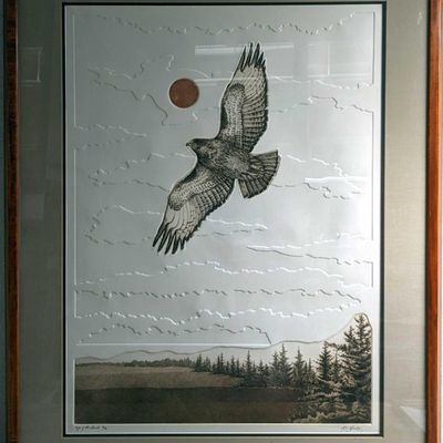 Sale Photo Thumbnail #262: F20 S&N Eyes Of The Hawk Textured Print