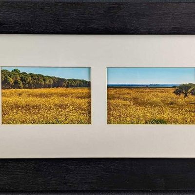Sale Photo Thumbnail #255: Framed Frank Juge Swamp Sunflowers Photos