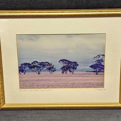 Sale Photo Thumbnail #139: Framed R.S. Newman Ships In A Sea Of Land Photo