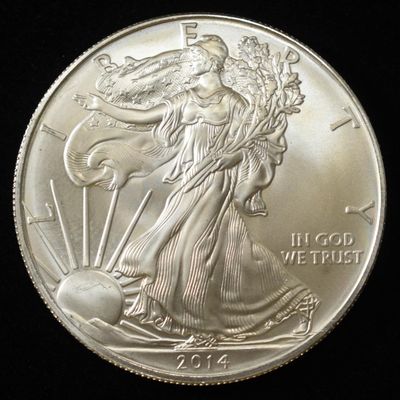 Sale Photo Thumbnail #396: 2014 AMERICAN SILVER EAGLE