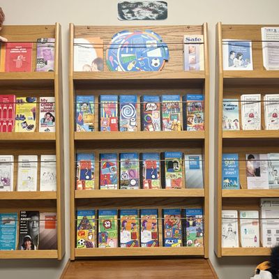 Sale Photo Thumbnail #209: A Collection of American Academy of Pediatrics Informational Brochures and Three Oak Display Racks