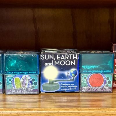 Sale Photo Thumbnail #273: A Collection of Ein-O Science Educational Biology and Physics Models and Kits