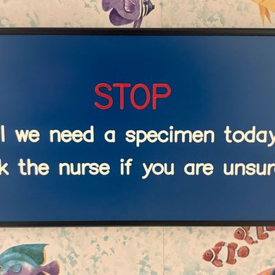 Sale Photo Thumbnail #185: A Rectangular Medical Specimen Instruction Wall Sign