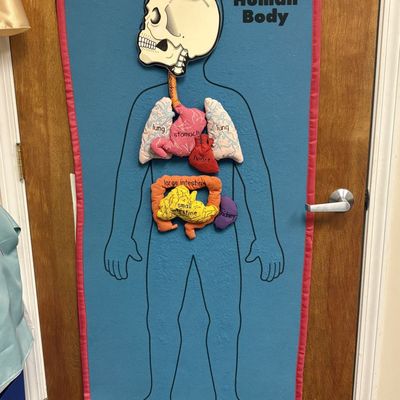 Sale Photo Thumbnail #207: Large Interactive Human Body Educational Wall Hanging with Plush Organs