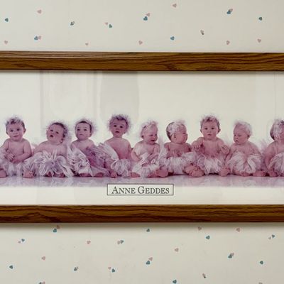 Sale Photo Thumbnail #62: Anne Geddes Panoramic Color Print