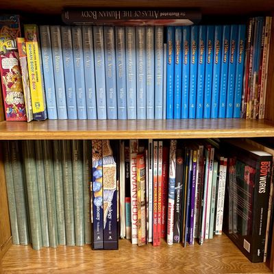 Sale Photo Thumbnail #270: A Collection of Medical Reference and Religious Book Sets including CIBA Medical Illustrations and The Bible Story.