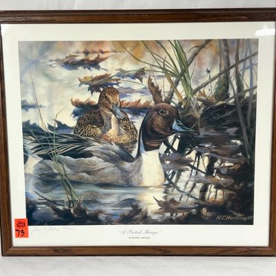 Sale Photo Thumbnail #74: FRAMED "A PINTAIL MIRAGE" PRINT