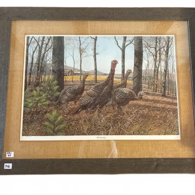 Sale Photo Thumbnail #672