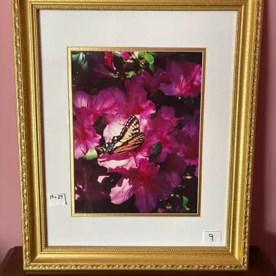 Sale Photo Thumbnail #5