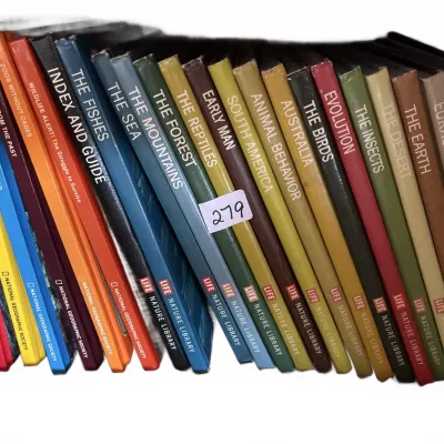 Sale Photo Thumbnail #541