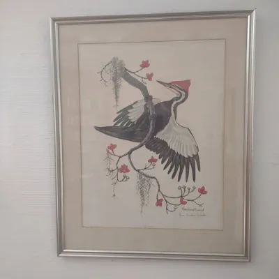 Pileated Woodpecker By Anne Worsham Richardson