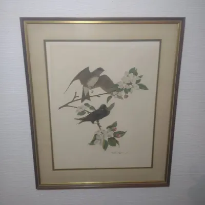 Richard Sloan Framed Print