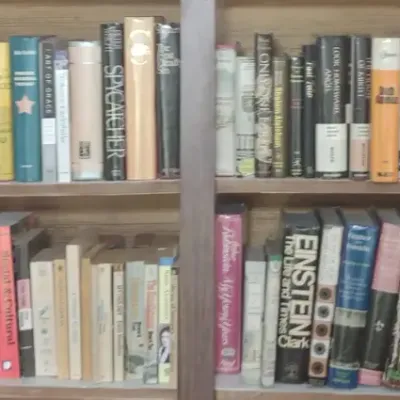 4 Shelves Of Mostly Hardback Books