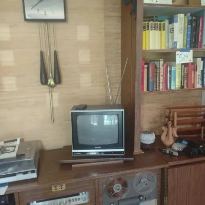 Vintage Sharp Linytron Tv With Remote
