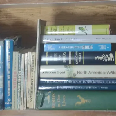Bird And Wildlife Book Lot