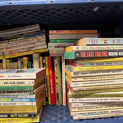 Sale Photo Thumbnail #362