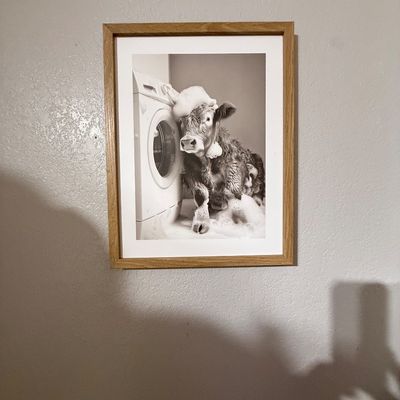 Sale Photo Thumbnail #142