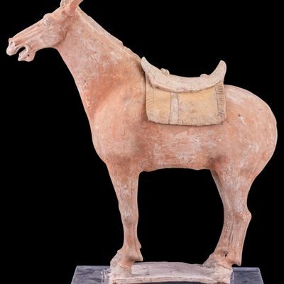 Sale Photo Thumbnail #382: Tang Dynasty Large Chinese Terracotta Tomb Horse
