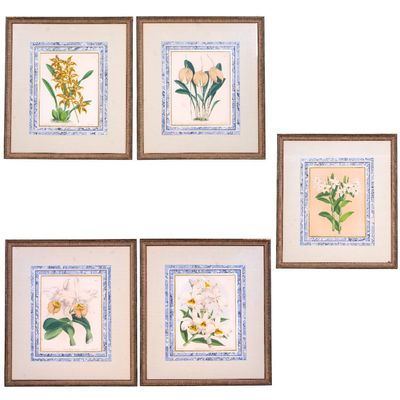 Sale Photo Thumbnail #412: Set of 5 J. Nugent Fitch Botanical Lithographs