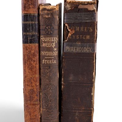 Sale Photo Thumbnail #485: Antique Medical / Phrenology Books (3)