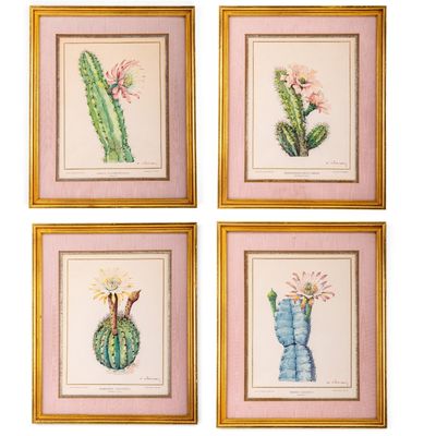 Sale Photo Thumbnail #297: Jardin Exotique de Monaco Botanical Prints